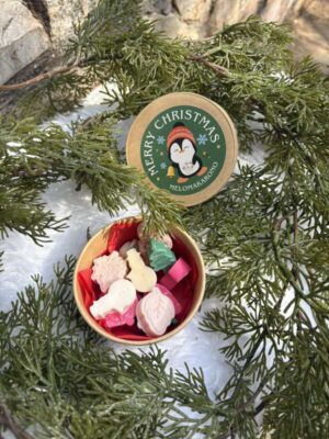 Xmas Wax Melts Box